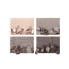 Charlotte Tilbury CT #Rock Chick LUXURY PALETTE 四色奢彩眼影盤 5.2G