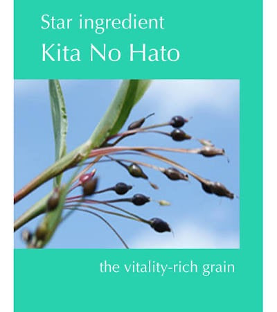 Albion💚奧爾濱健康水 55ml <sample> #健康化妝水 #抵御外界刺激呵護脆弱肌