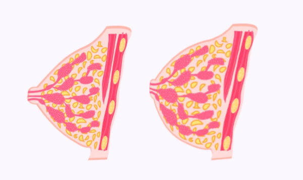 日本🇯🇵 S&C scret Premuium 花魁的秘密 90 tablets #改善子宮卵巢 #改善經期 #延緩更年期 Exp.2026