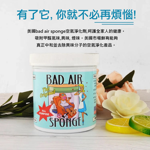 美國 🇺🇸Bad Air除甲醛淨味劑 Sponge Formaldehyde Remover