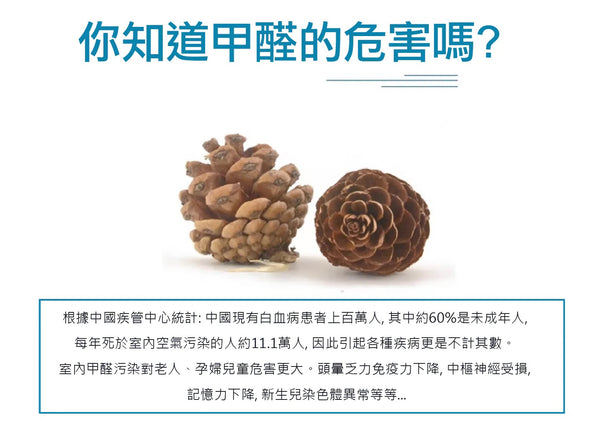 美國 🇺🇸Bad Air除甲醛淨味劑 Sponge Formaldehyde Remover