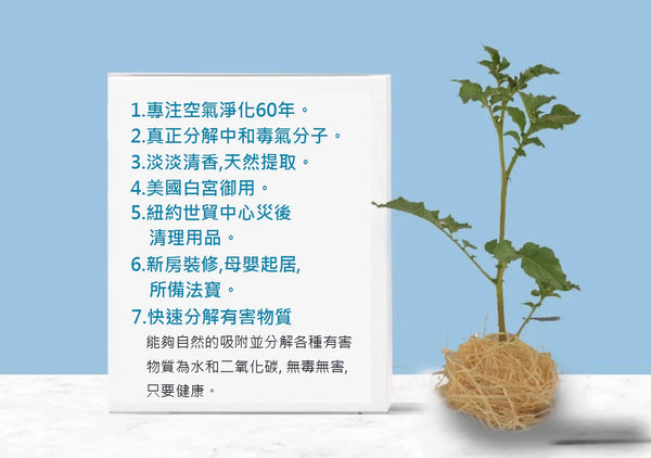 美國 🇺🇸Bad Air除甲醛淨味劑 Sponge Formaldehyde Remover