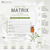 INNO-TDS MATRIX (4 X 2.5ML) LABORATORIO INNOAESTHETICS 西班牙英諾抗曬素