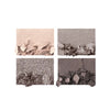 Charlotte Tilbury CT #Rock Chick LUXURY PALETTE 四色奢彩眼影盤 5.2G