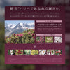 AXXZIA Agtheory Silky Emulsion AG彈潤亮采菁萃乳液55mL