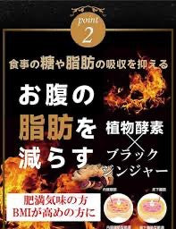 日本🇯🇵HBF鮭姜凍齡酵素丸 90粒